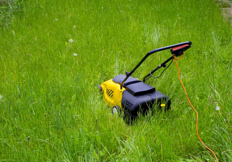Choose A Dry Day For Mowing