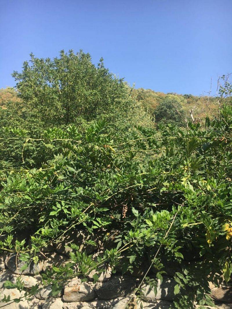 Better Alternatives Exist for Fall Care