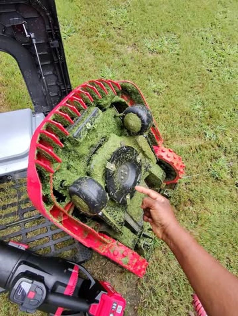 Clean Your Mower After Each Use
