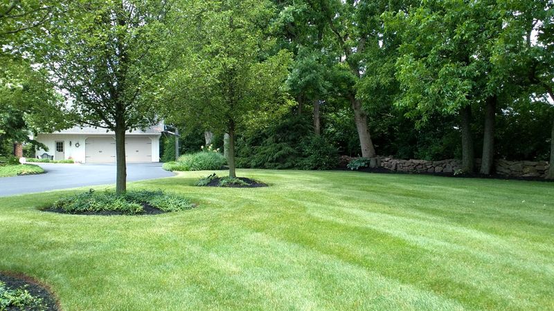 Reduce Mowing Frequency As Month Progresses