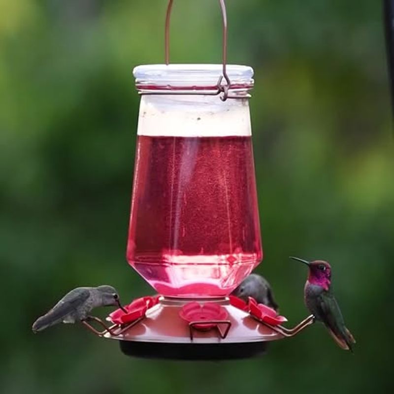 Weather Signals Provide Natural Removal Cues