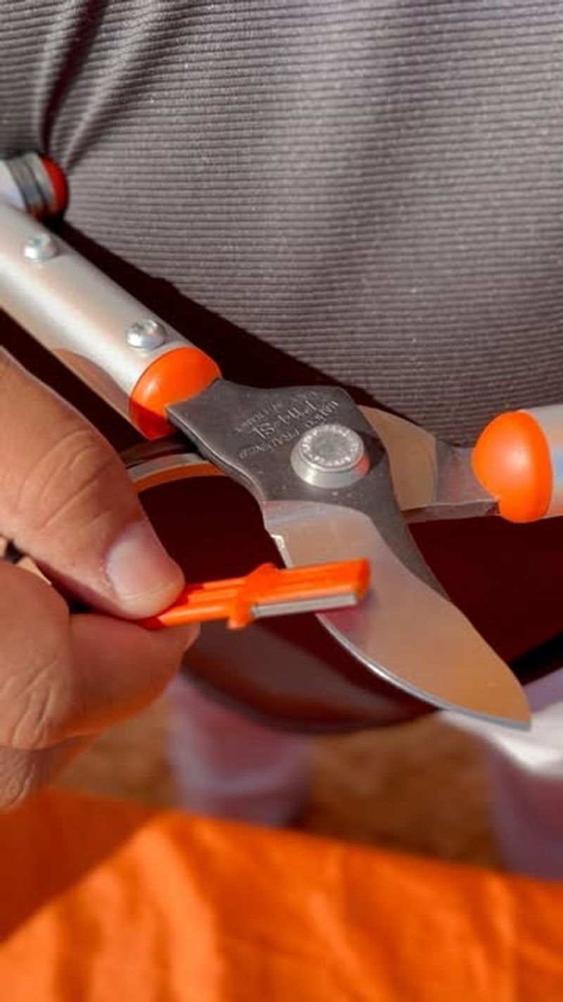 Use Sharp Tools And Proper Technique