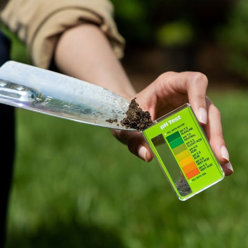 Check And Adjust Soil pH