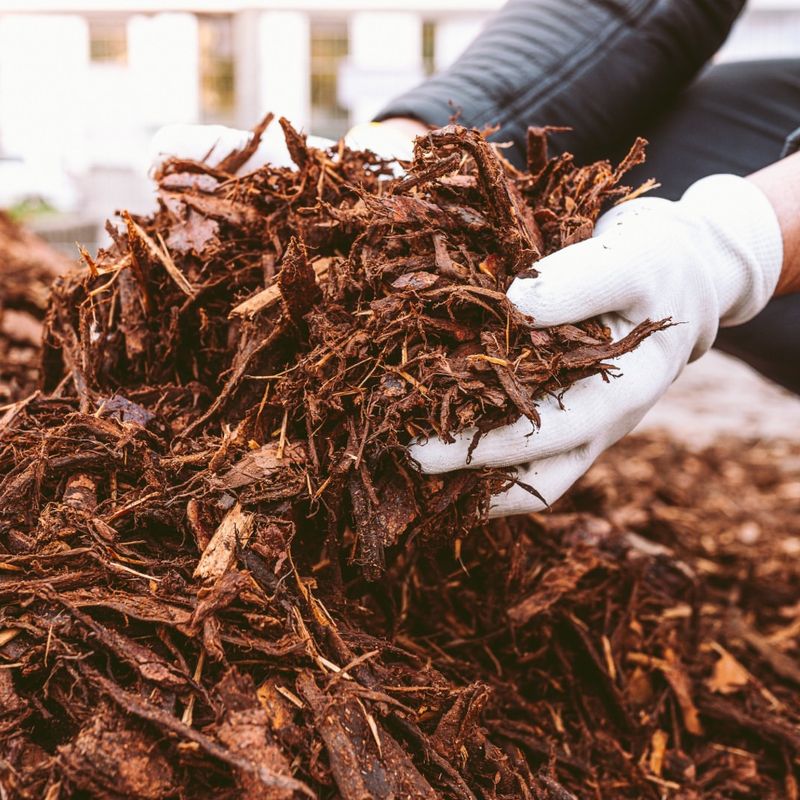 Apply Thick Mulch Around The Base