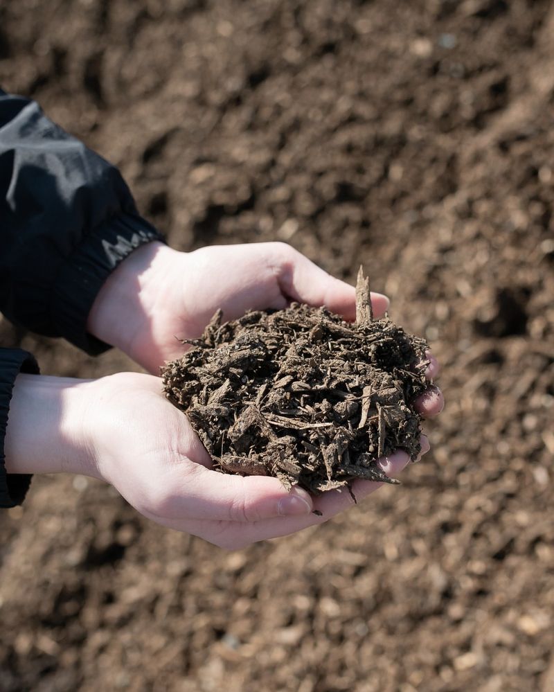 Add A Thick Layer Of Mulch On Top