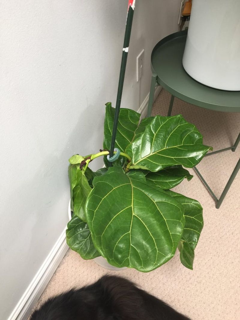 Avoid Watering On A Strict Schedule