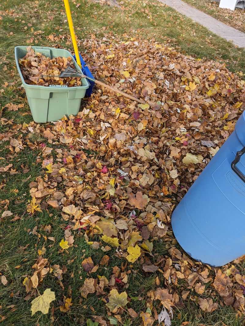 Piling Leaves Against Your House