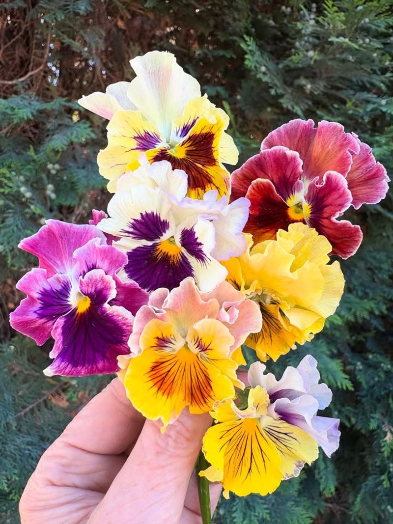 Colors Come In Endless Varieties