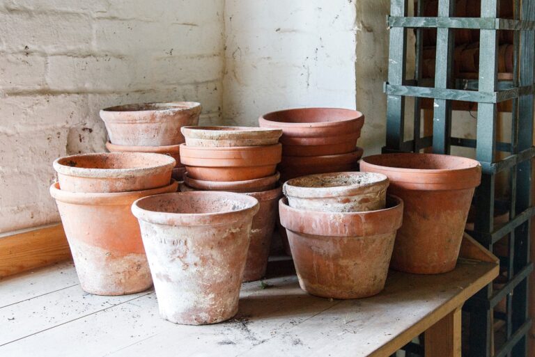 terracotta pots