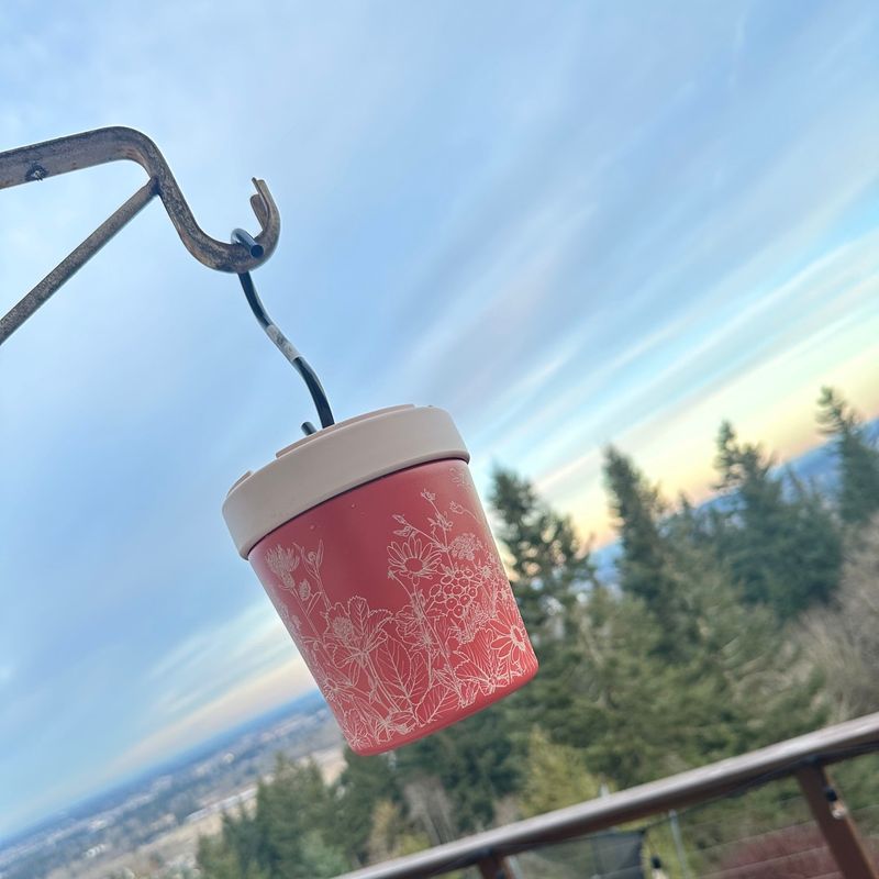 You're Refilling Feeders Multiple Times Daily