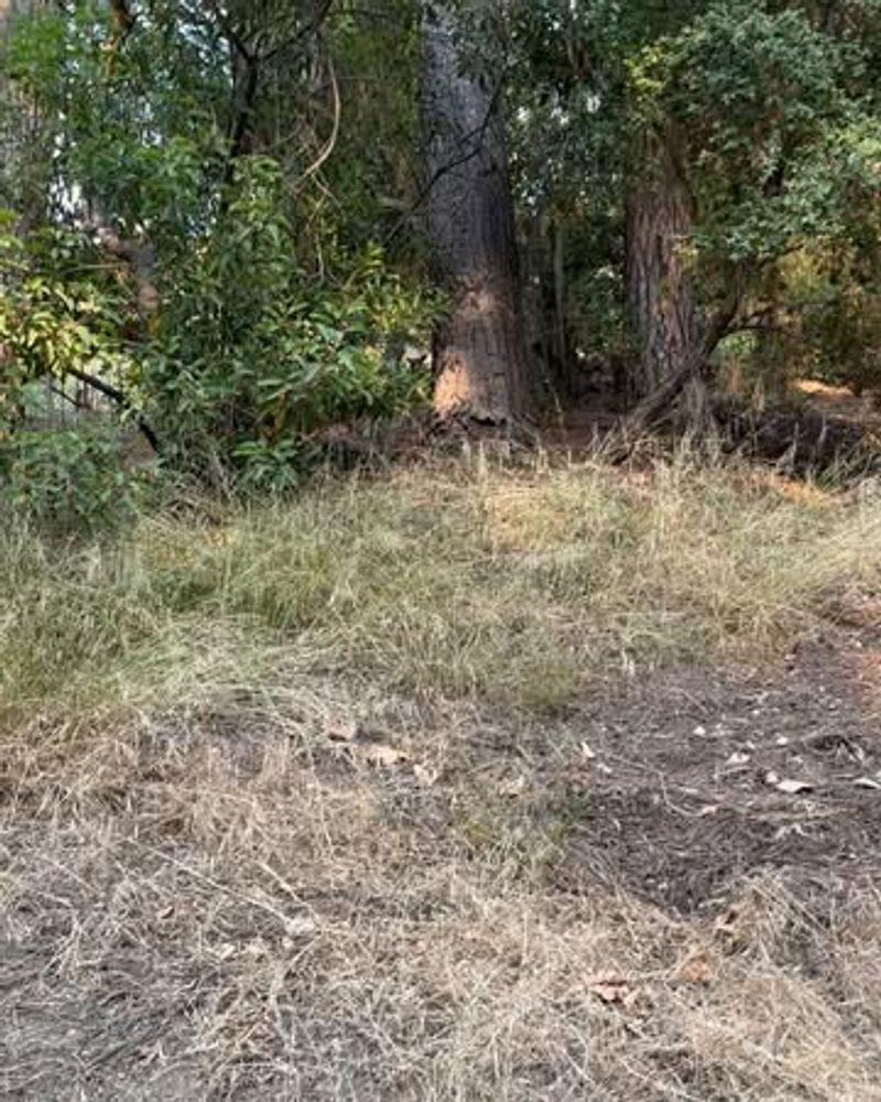 Easy Visibility From Distance
