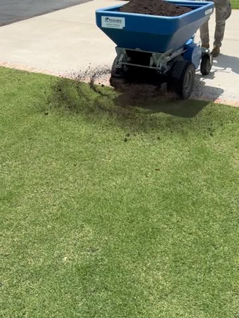 Compost Blends That Strengthen Fall Roots
