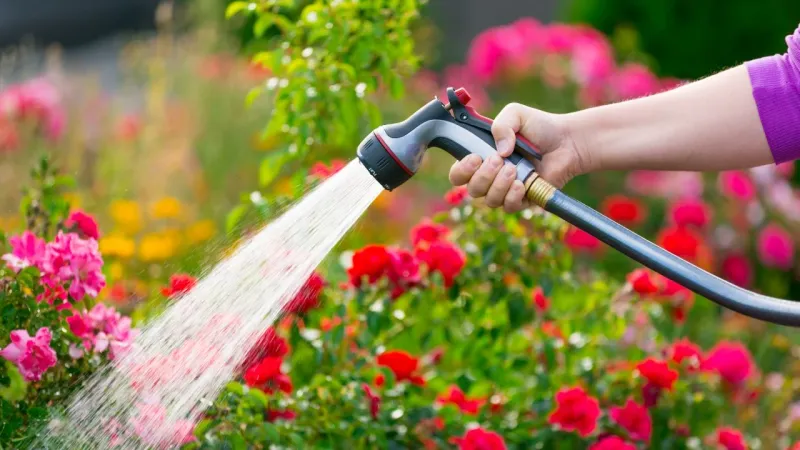 Garden Hose Spray Method