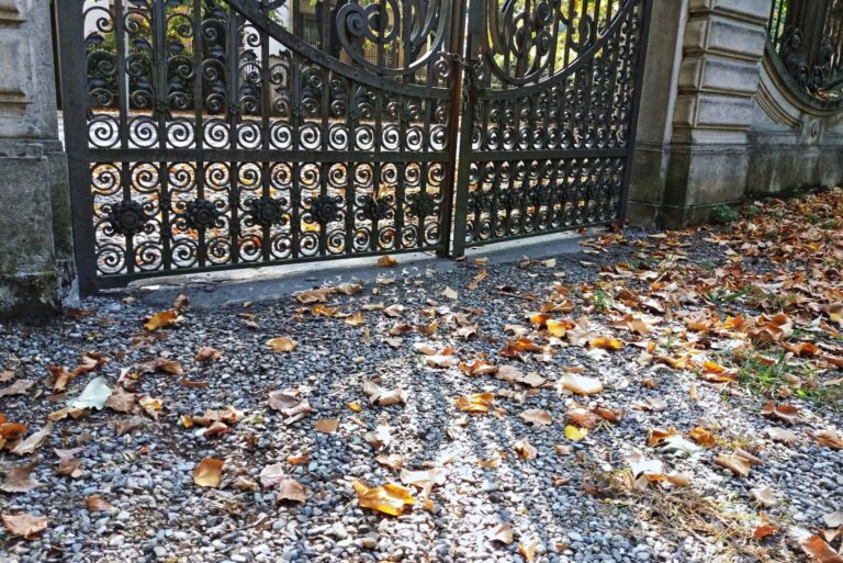 fallen leaves in front of the iron gate