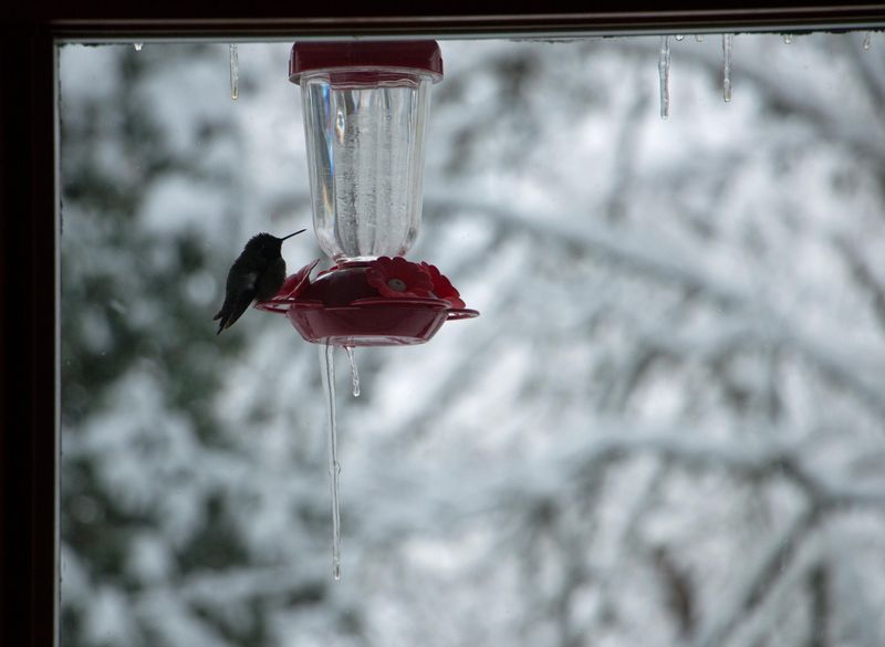 Freezing Temperatures Arrive Consistently