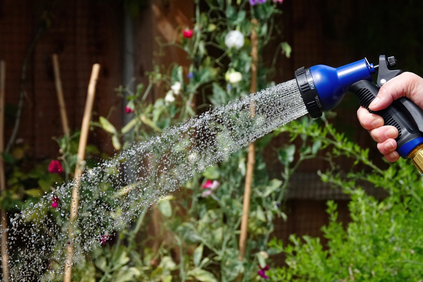 When To Water Your Fall Garden For Peak Growth In California
