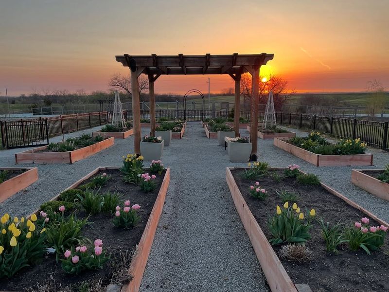 Early Morning Before Sunrise