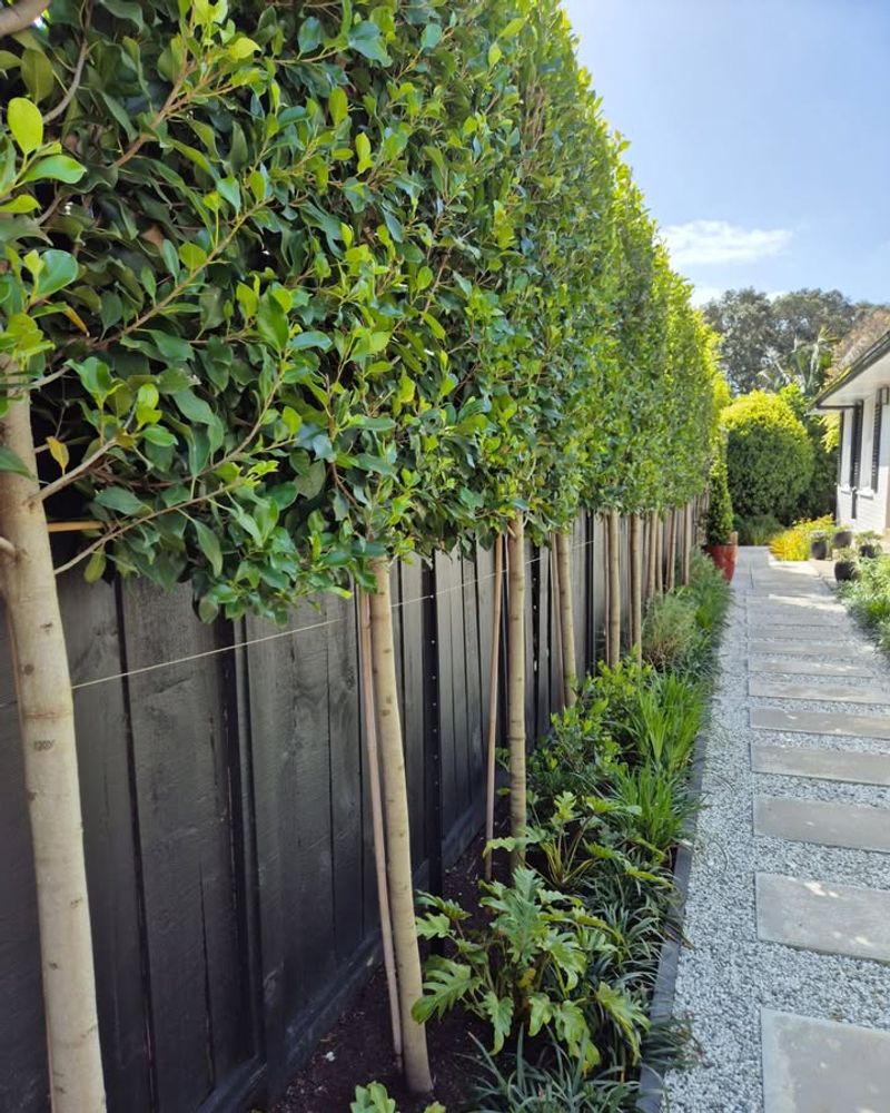 Communication Prevents Conflicts