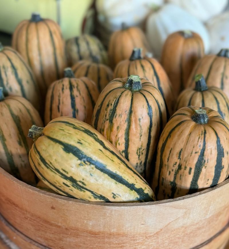 Local Harvests That Taste Like Fall Itself
