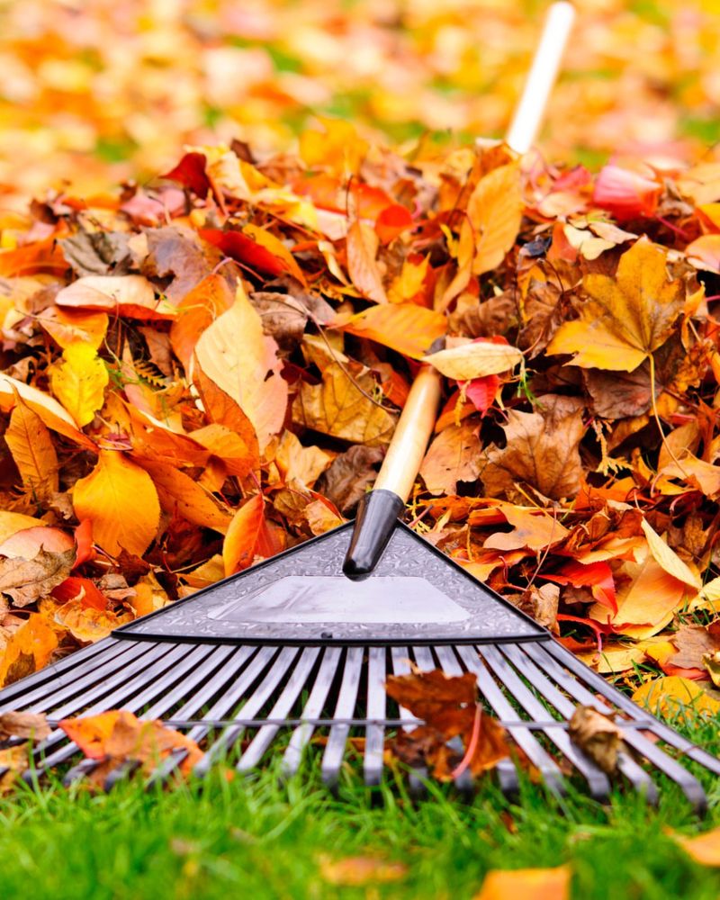 Property Owners Handle Their Own Yards