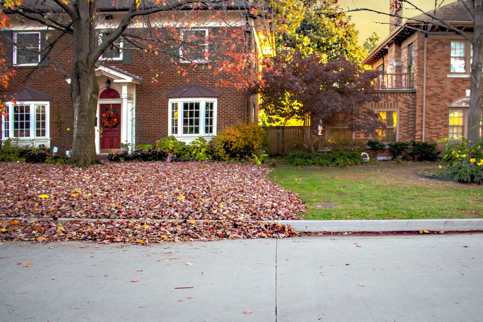 Neighborhood houses in fall