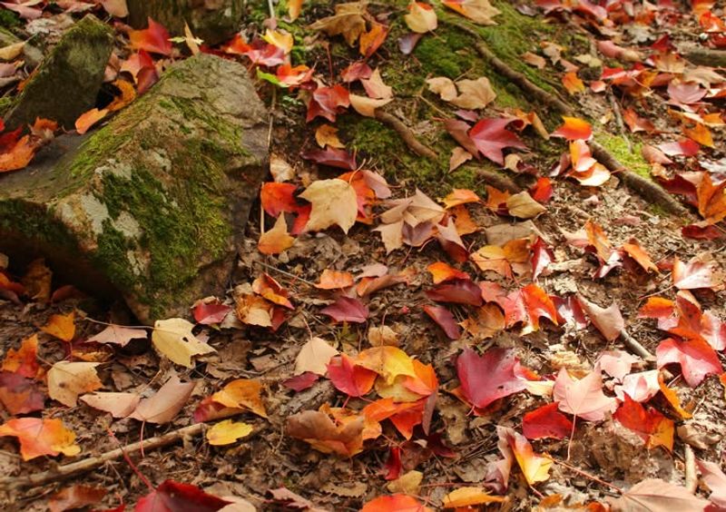 California Law Puts Cleanup Responsibility On Property Owners