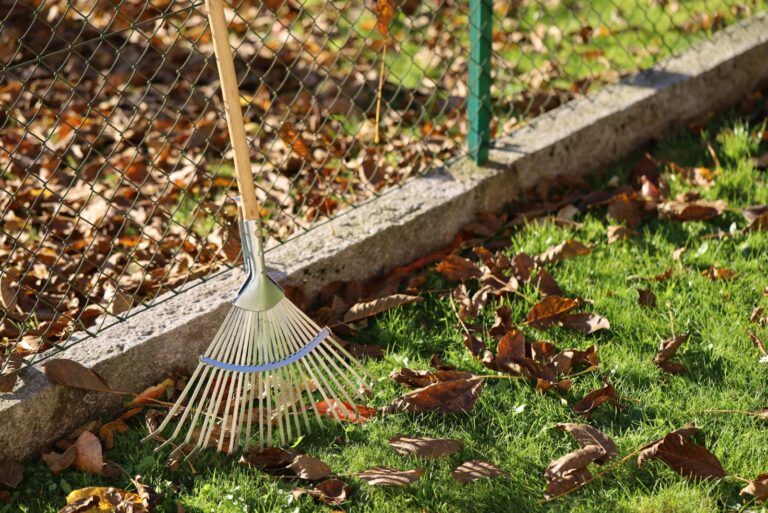 Rake next to fence on leaves