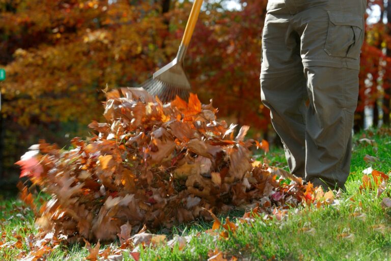 raking leaves