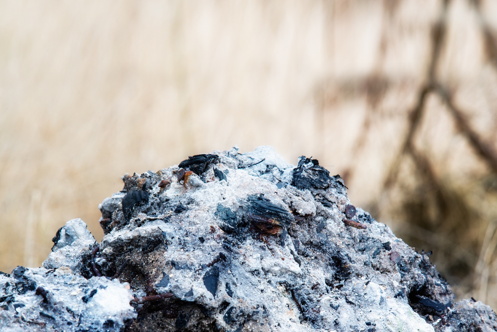 wood ash