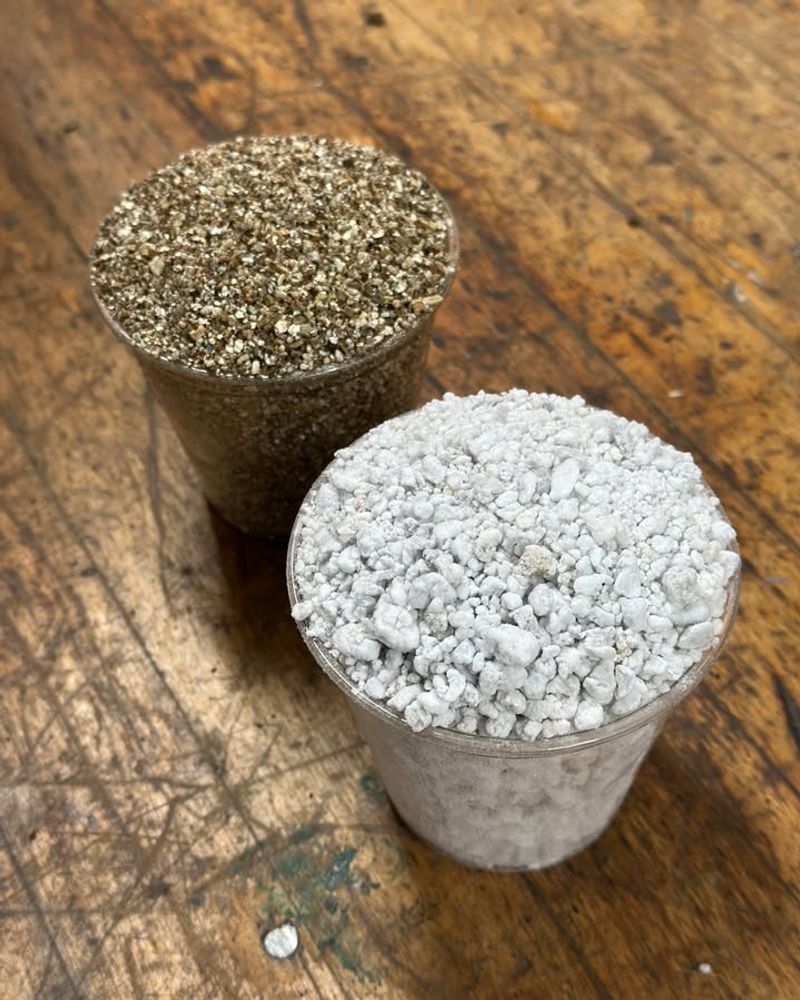 Perlite vs Gravel: Picking Your Perfect Mix
