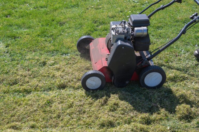 Dethatching a Lawn