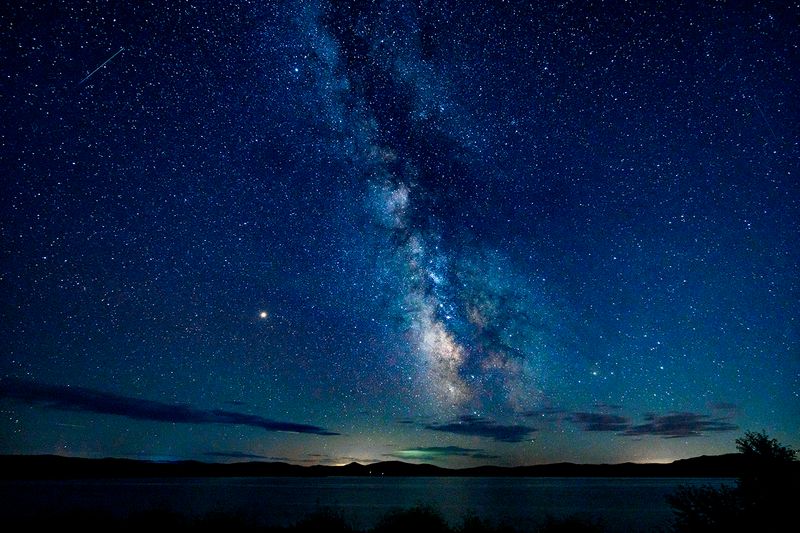 Light Pollution Disrupts Their Glow