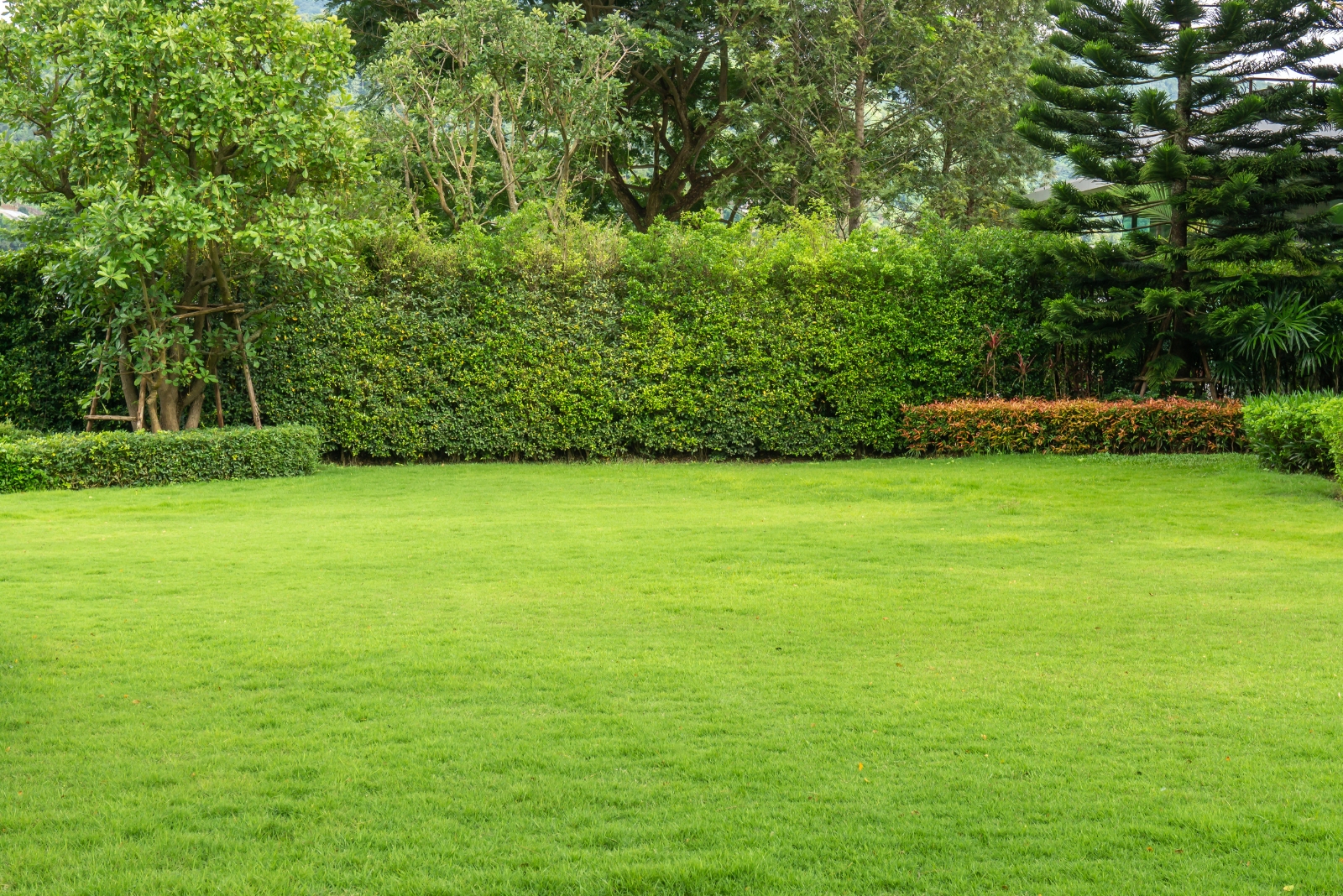 Why Gardeners In Oklahoma Are Using Baking Soda On Their Lawns This November