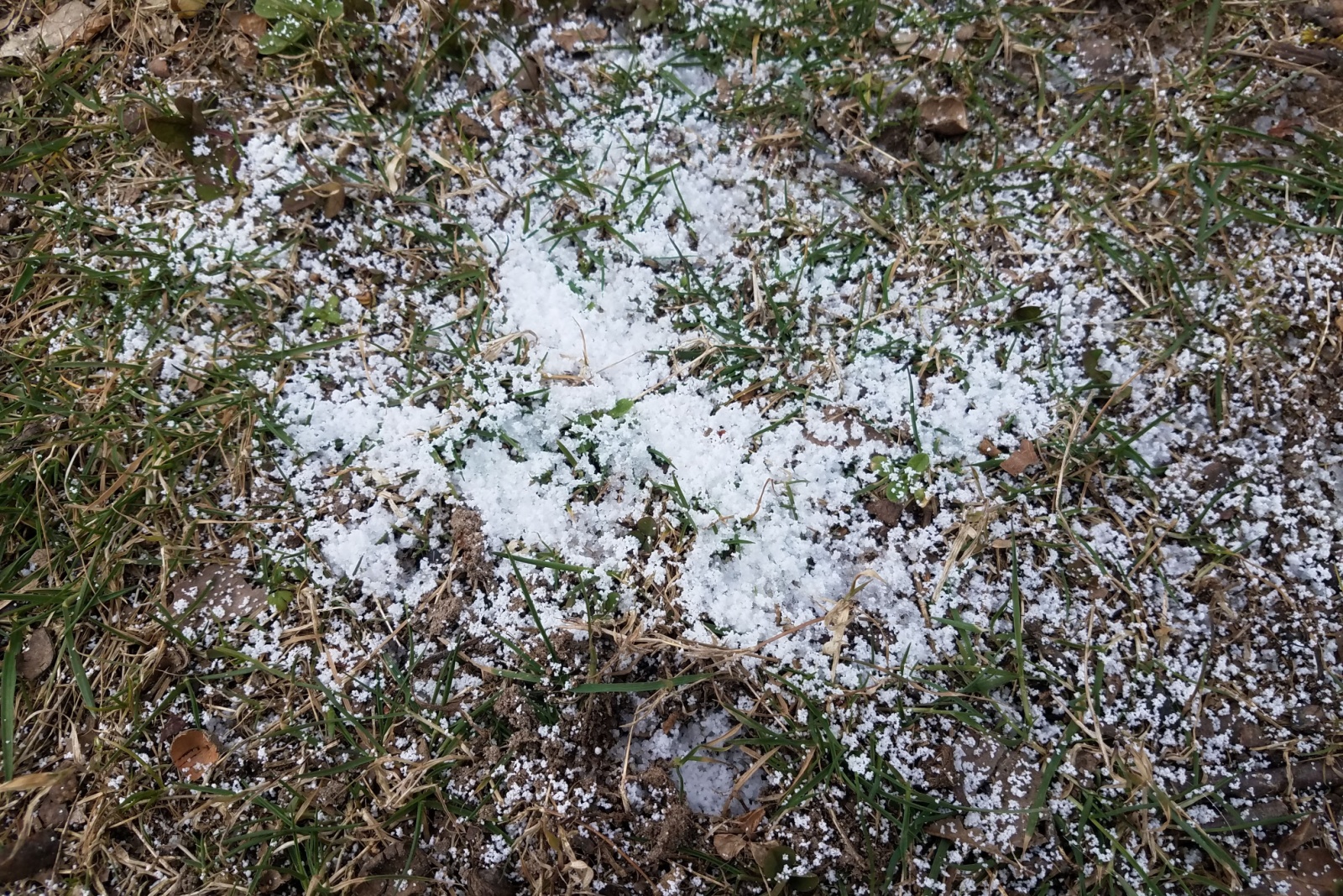 Why New York Homeowners Are Sprinkling Baking Soda On Their Lawns This November