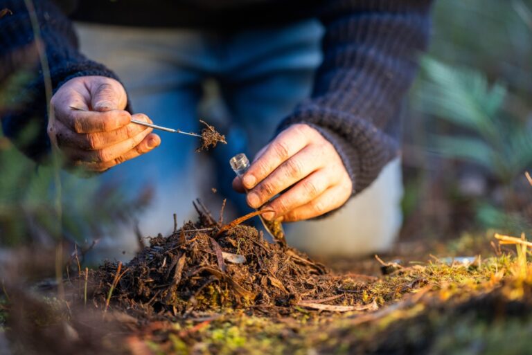 researcher studying soil