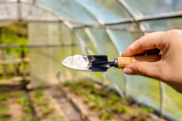 Using baking soda, sodium bicarbonate in home garden