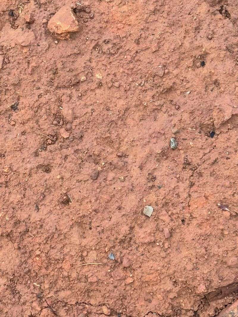 Spots With Compacted Clay Soil