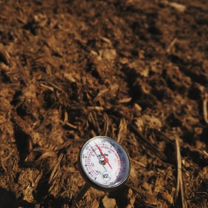 Soil Temperature Matters More Than You Think