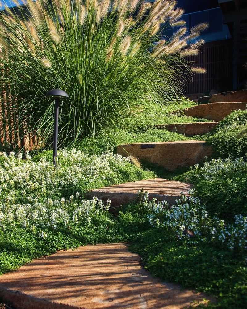 Flagstone Steps With Creeping Thyme