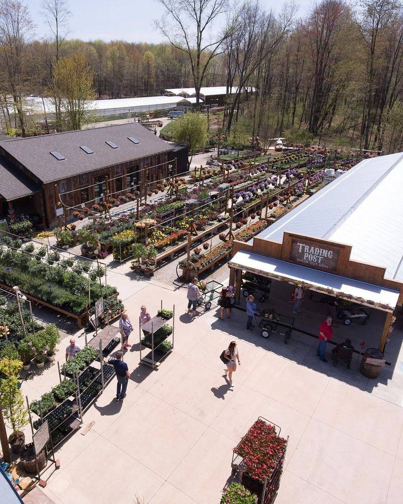 Seasonal Events That Celebrate Growing Things