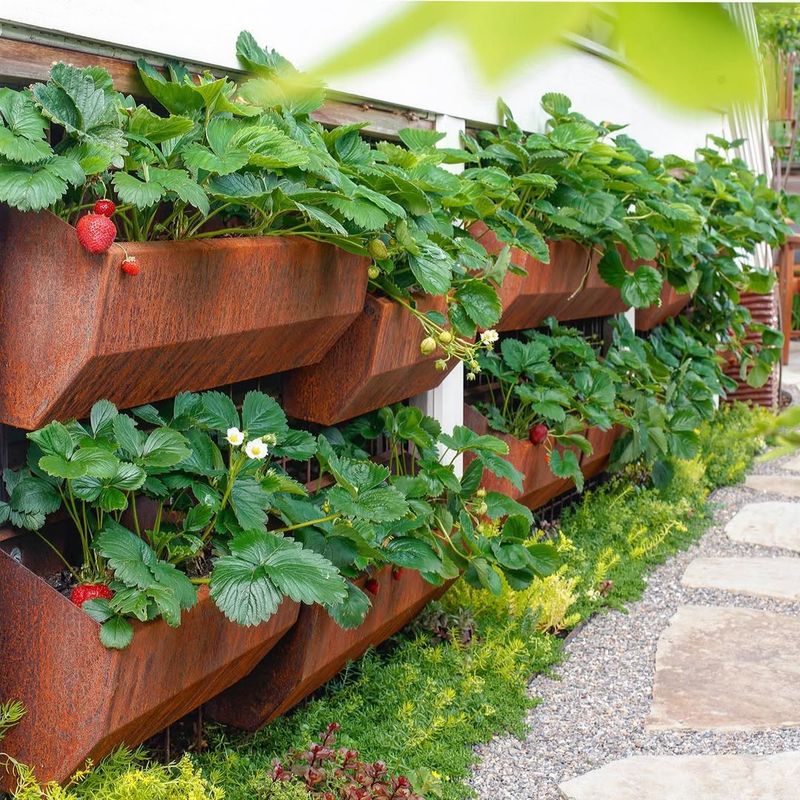 Group Pots Together for Extra Warmth