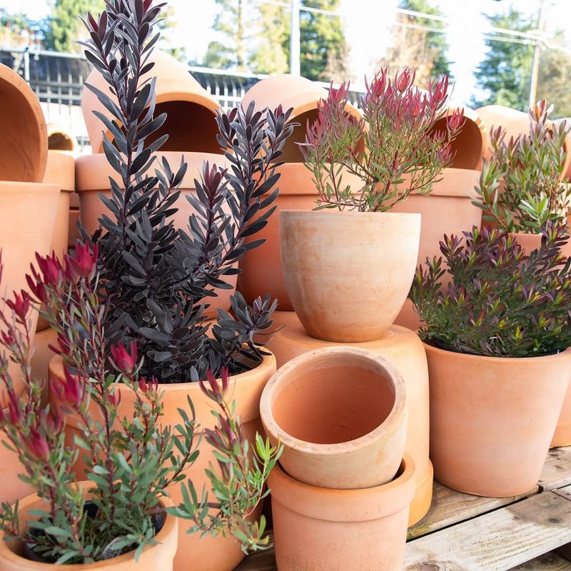 Elevating Pots Off The Ground