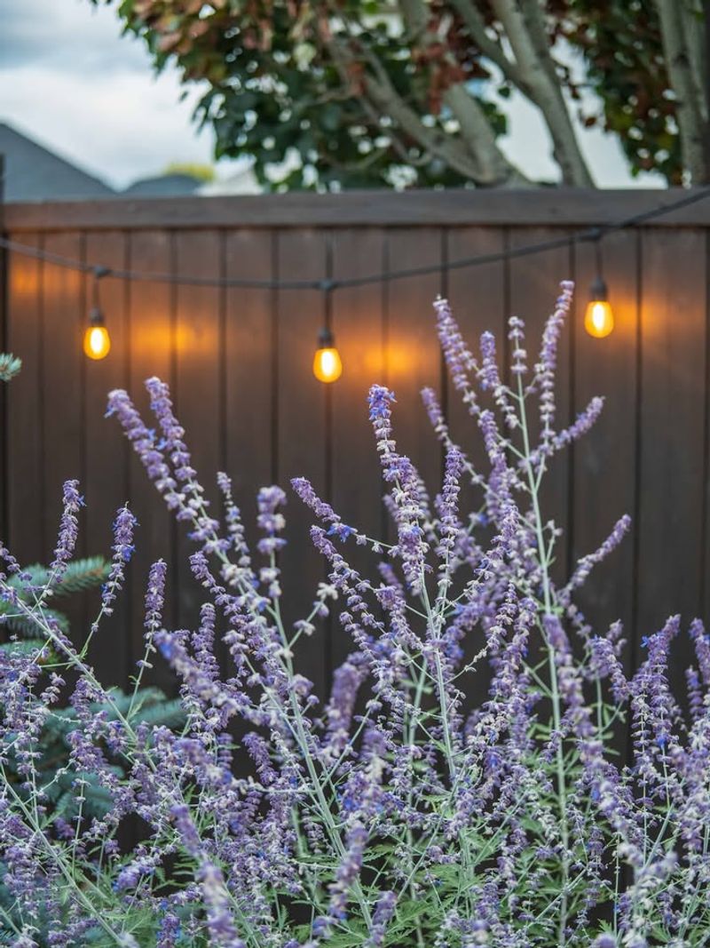 Increases Property Value and Curb Appeal