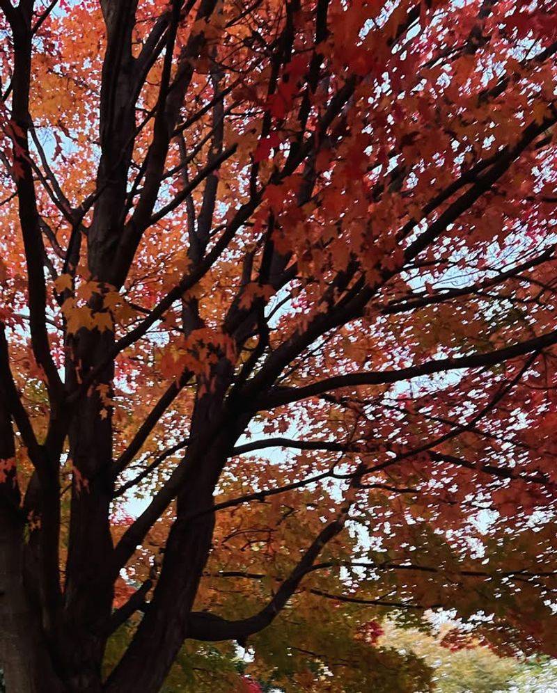 Branches Are a Different Story
