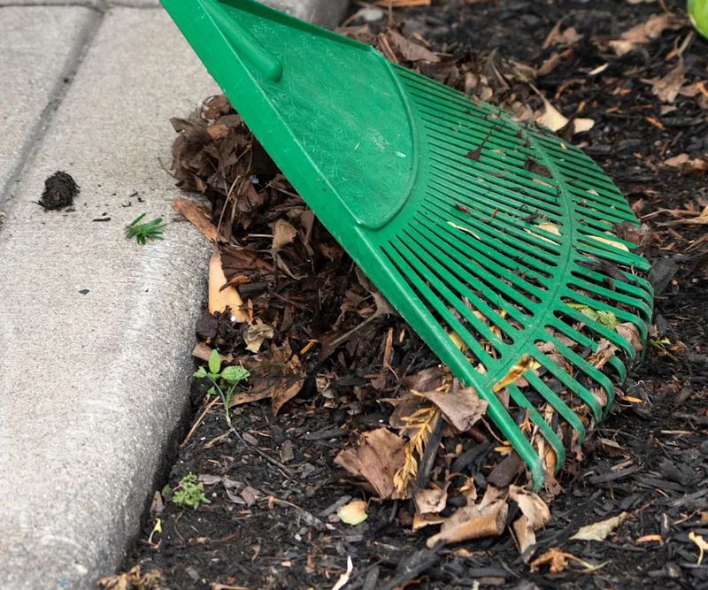 Homeowners Insurance Rarely Covers Routine Leaf Cleanup