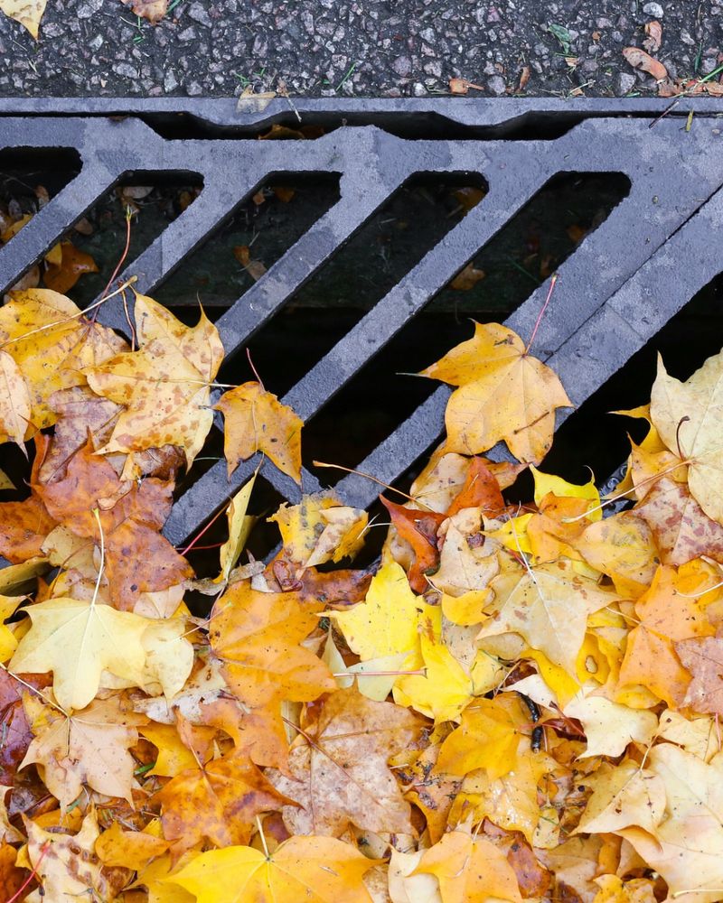 Storm Drains Get Blocked on Your Street
