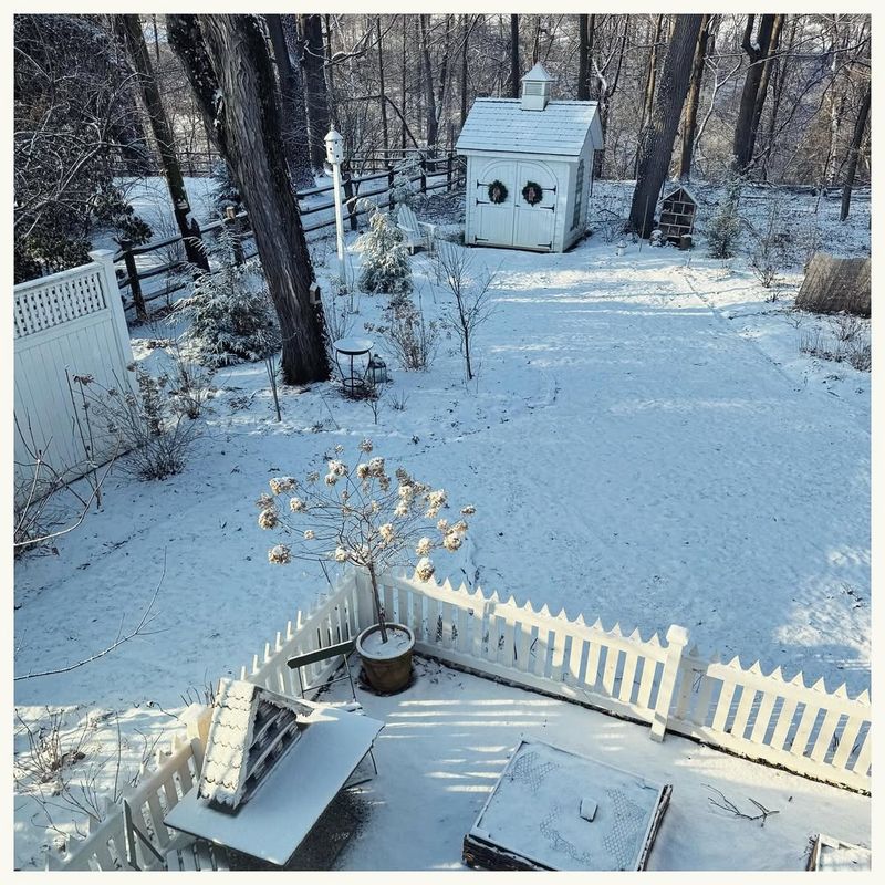 Frost Covers Your Garden in the Morning