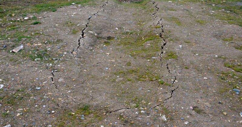 Soil Compaction Makes Grass Struggle To Grow