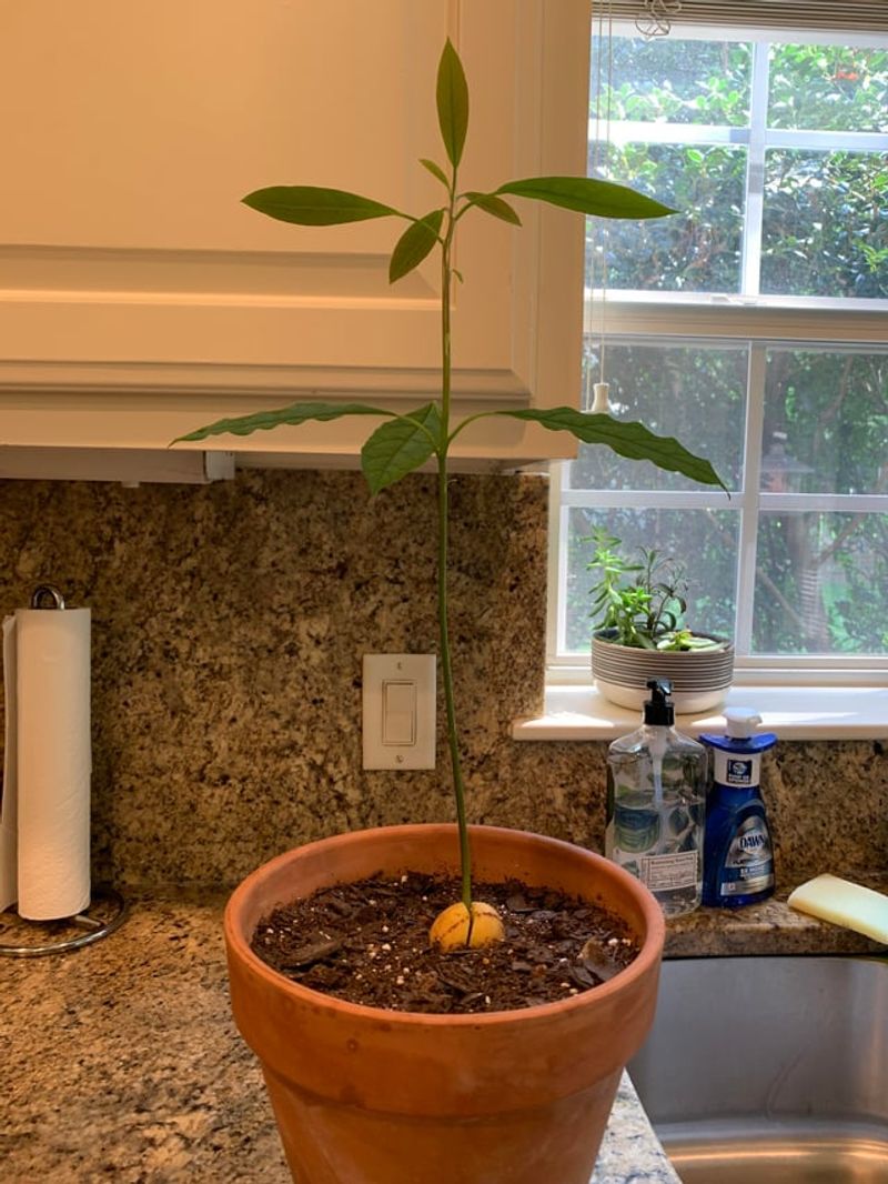 #2 Choose The Right Container