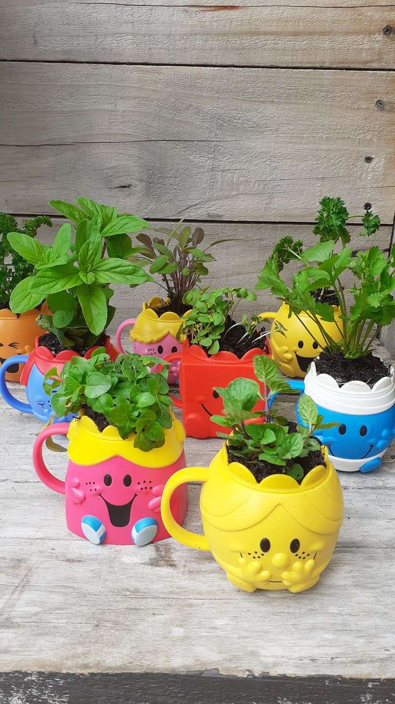 #2 Painted Pots With Herb Starters
